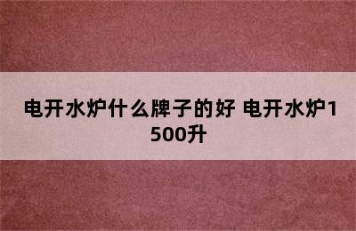 电开水炉什么牌子的好 电开水炉1500升